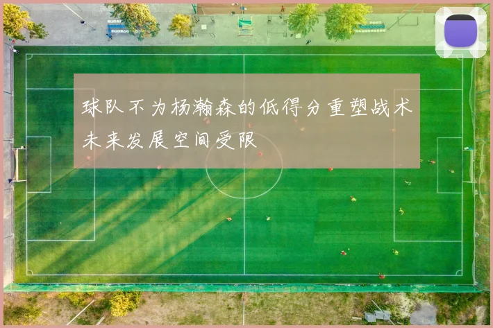 球队不为杨瀚森的低得分重塑战术未来发展空间受限